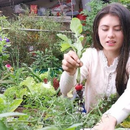 Fundadora: Maria Paula Ramirez Medina 