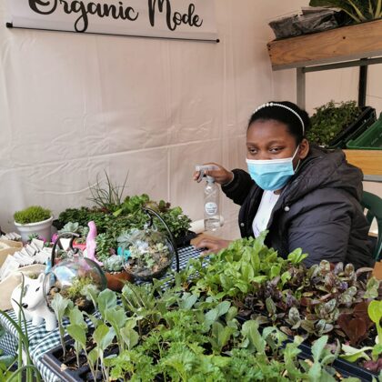 Venta de semillas, plantúlas y abonos organicos