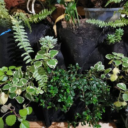 Diseño y montaje de huertas y jardines verticales