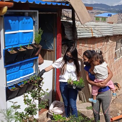 Voluntariados 