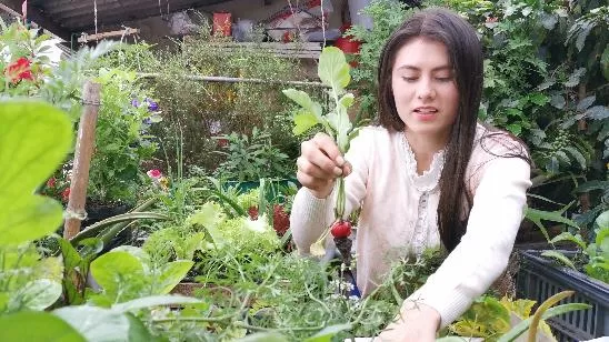 Fundadora: Maria Paula Ramirez Medina 
