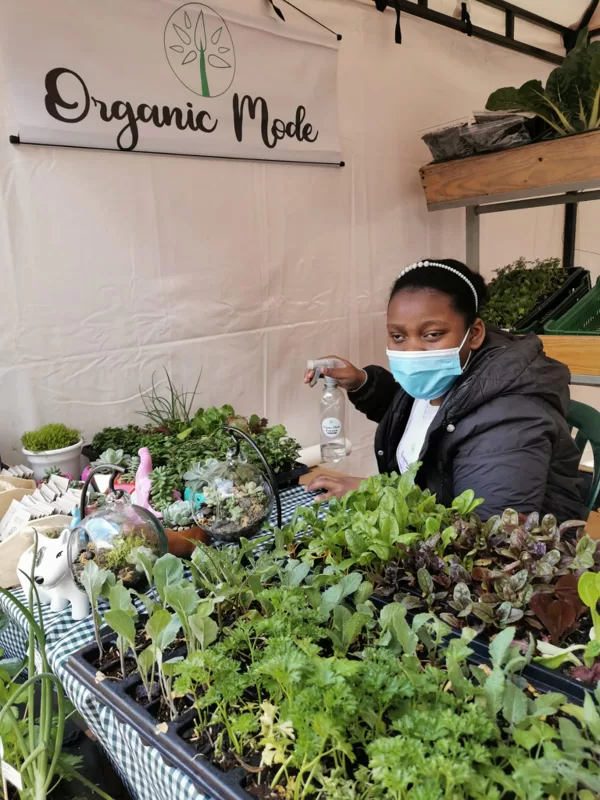 Venta de semillas, plantúlas y abonos organicos