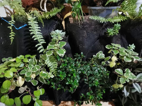 Diseño y montaje de huertas y jardines verticales